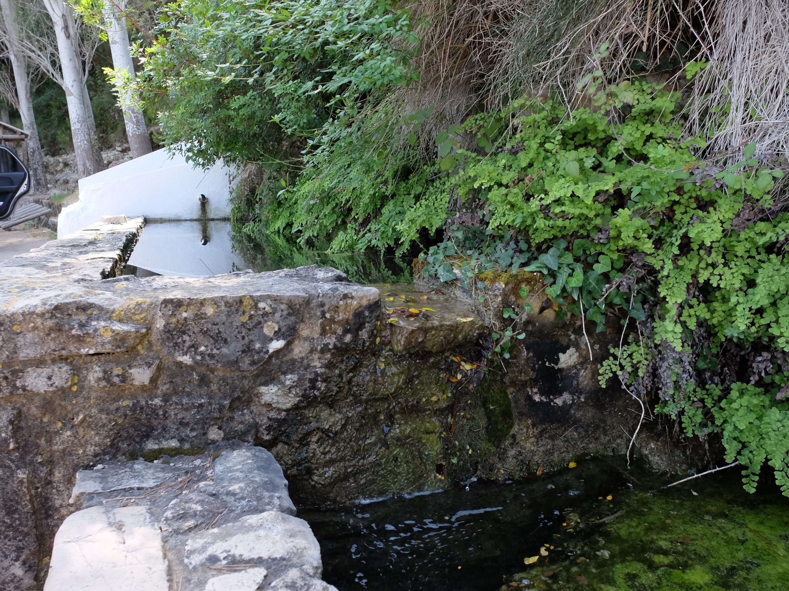 Fotografía de la fuente del Cirer en Tabernes, La Safor. Espacio natural protegido de micro flora autóctona